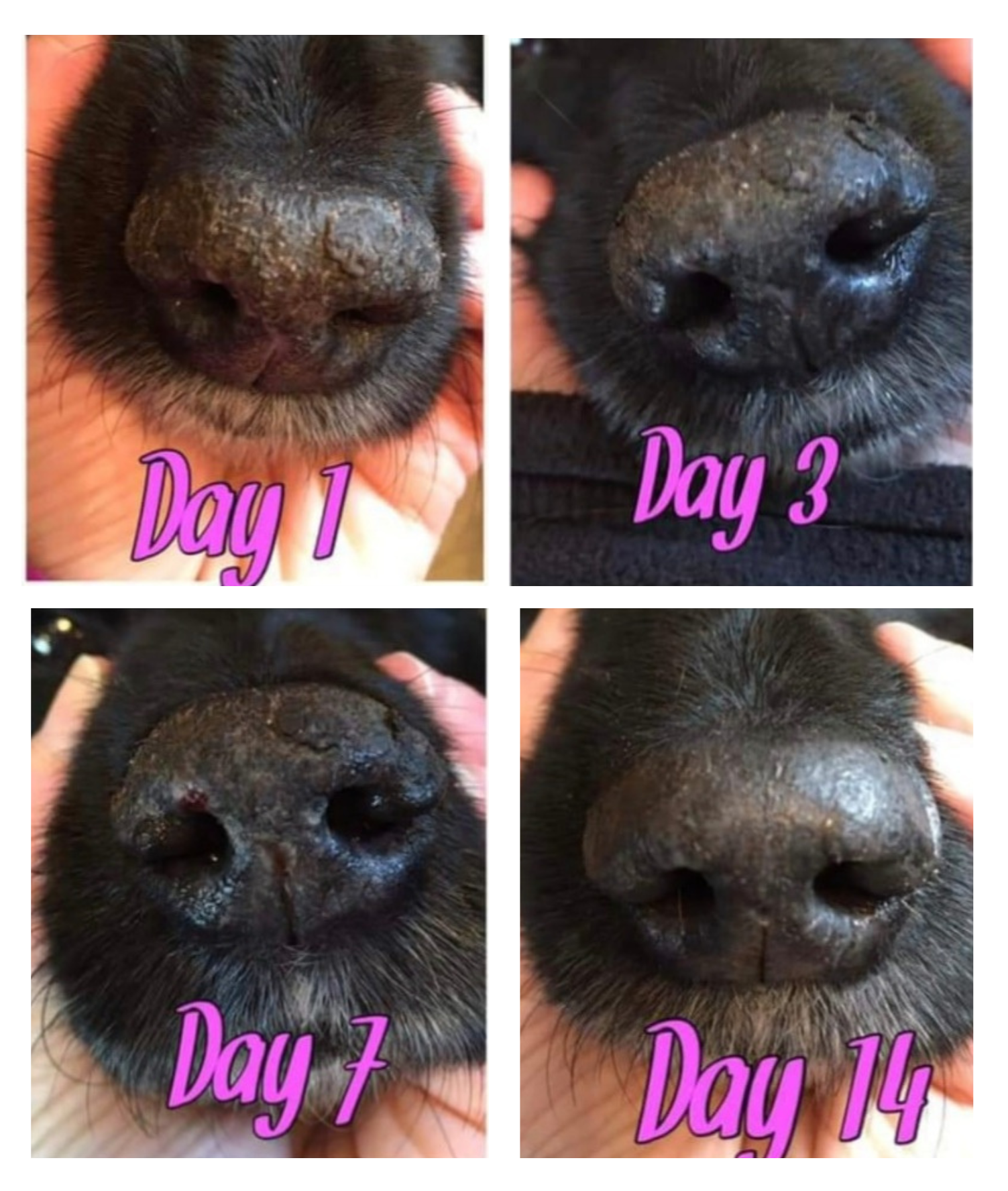Nose & Face Wrinkle Balm